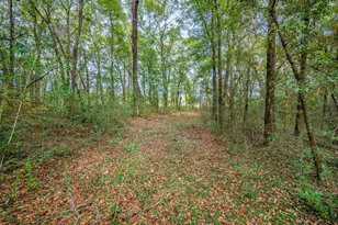 276 Squirrel Rd, Defuniak Springs, FL 32433 - Photo 34