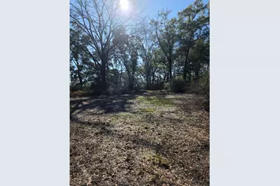 4977 Douglas Ferry Road, Caryville, FL 32427 - Photo 4