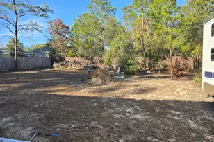 261 E Jonquil Ave E, Defuniak Springs, FL 32433 - Photo 4