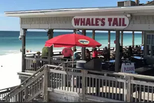 43 Summer Haven Trail, Miramar Beach, FL 32550 - Photo 14