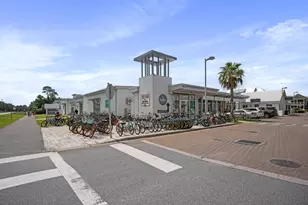 109 W Pine Lands Loop W, Inlet Beach, FL 32461 - Photo 46