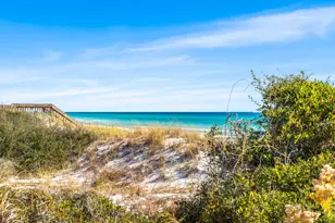 100 S Spooky Ln S, Santa Rosa Beach, FL 32459 - Photo 48