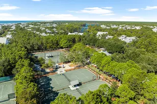 384 Red Cedar Way, Santa Rosa Beach, FL 32459 - Photo 38