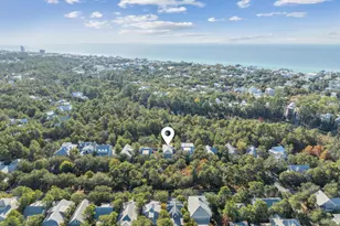 384 Red Cedar Way, Santa Rosa Beach, FL 32459 - Photo 6