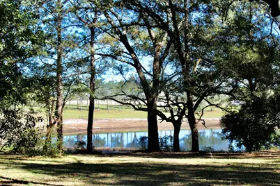 103 Pretty Pond Lane, Defuniak Springs, FL 32433 - Photo 4