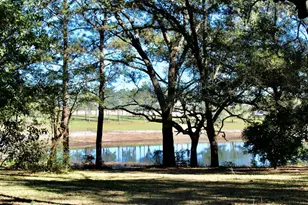 103 Pretty Pond Ln, Defuniak Springs, FL 32433 - Photo 4