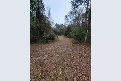 42 White Creek Road, Ponce de Leon, FL 32455 - Photo 12