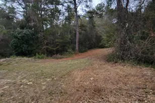 42 White Creek Rd, Ponce de Leon, FL 32455 - Photo 10