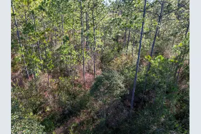 Xx-005 E St Highway 20 E, Ponce de Leon, FL 32455 - Photo 12