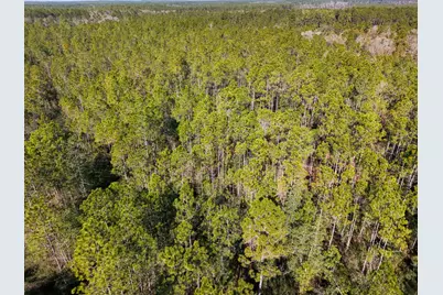 Xx-005 E St Highway 20 E, Ponce de Leon, FL 32455 - Photo 10