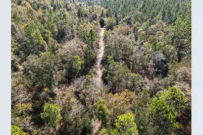 Xx-005 E St Highway 20 E, Ponce de Leon, FL 32455 - Photo 6