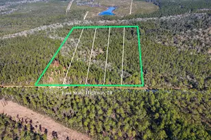 Xx-006 E St Hwy 20 E, Ponce de Leon, FL 32455 - Photo 1