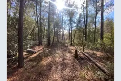 Parcel A Sunburst Drive, Crestview, FL 32539 - Photo 26