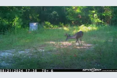 Parcel A Sunburst Drive, Crestview, FL 32539 - Photo 8