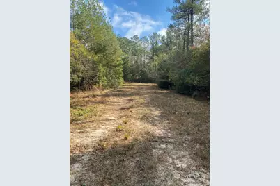 Parcel A Sunburst Drive, Crestview, FL 32539 - Photo 16