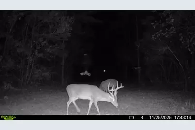 Parcel A Sunburst Drive, Crestview, FL 32539 - Photo 10