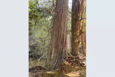 Parcel A Sunburst Drive, Crestview, FL 32539 - Photo 24