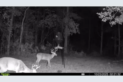 Parcel A Sunburst Drive, Crestview, FL 32539 - Photo 20