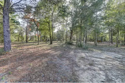 5256 Mt. Olive Road, Crestview, FL 32539 - Photo 56
