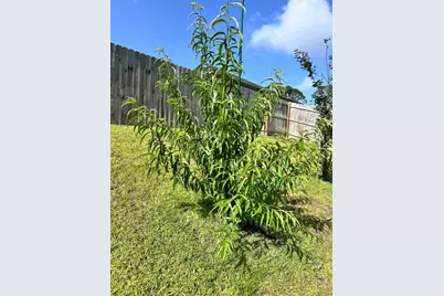 3041 Crown Creek Circle, Crestview, FL 32539 - Photo 56