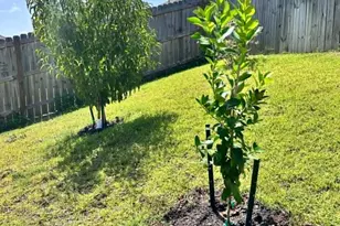 3041 Crown Creek Cir, Crestview, FL 32539 - Photo 52