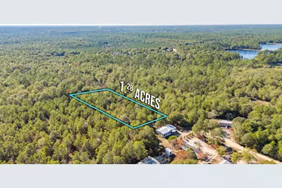 Xx Jim Cotton Drive, Defuniak Springs, FL 32433 - Photo 8