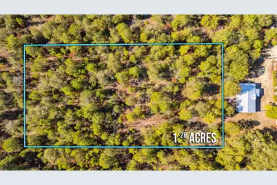 Xx Jim Cotton Drive, Defuniak Springs, FL 32433 - Photo 2