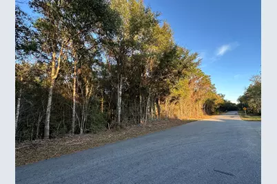 Tbd E Chestnut Avenue, Crestview, FL 32539 - Photo 1