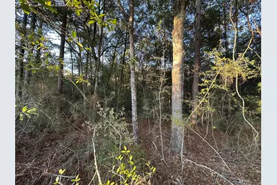 Tbd E Chestnut Avenue, Crestview, FL 32539 - Photo 4
