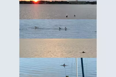 202 Snug Harbour Drive #202, Shalimar, FL 32579 - Photo 4