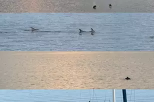 202 Snug Harbour Dr, Shalimar, FL 32579 - Photo 4