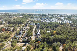 76 Sandpine Loop, Inlet Beach, FL 32461 - Photo 34