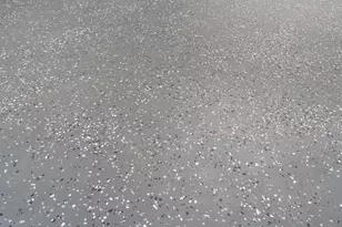 67 W Wild Briar Road W, Santa Rosa Beach, FL 32459 - Photo 36