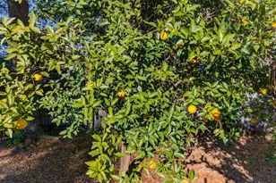 534 Nassau Dr, Niceville, FL 32578 - Photo 48