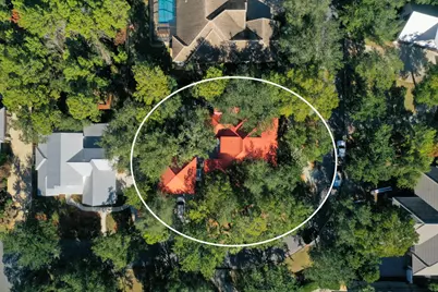 325 Botany Boulevard, Santa Rosa Beach, FL 32459 - Photo 38