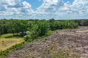 258 Briar Rd, Defuniak Springs, FL 32433 - Photo 16