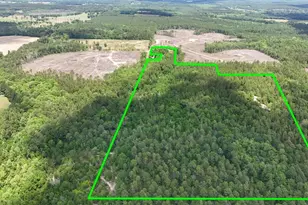 258 Briar Rd, Defuniak Springs, FL 32433 - Photo 20