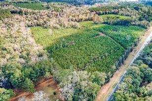 0 Bainbridge Rd Hwy, Quincy, FL 32351 - Photo 1