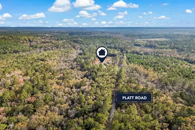 90 Platt Road, Defuniak Springs, FL 32435 - Photo 76