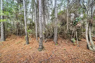 35 Talon Ct, Santa Rosa Beach, FL 32459 - Photo 20