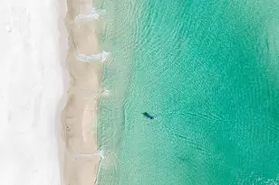 2202 Avenida De Sol, Navarre, FL 32566 - Photo 44