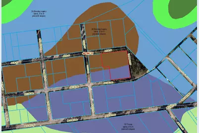 Xxx Jocobi At Trimmer Road, Molino, FL 32577 - Photo 4