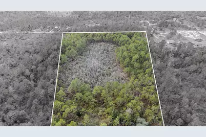 3-1N-11W Baker Rd, Altha, FL N/A - Photo 2