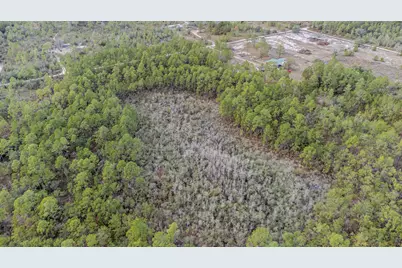 3-1N-11W Baker Rd, Altha, FL N/A - Photo 10