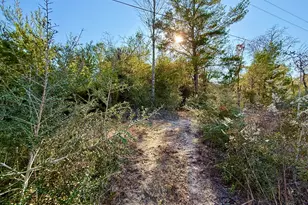 Lot 6 Blk 14 E Tiger Lily Ln, Defuniak Springs, FL 32433 - Photo 6