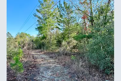 Lot 6 Blk 14 E Tiger Lily Lane, Defuniak Springs, FL 32433 - Photo 8