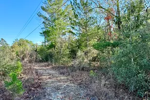 Lot 6 Blk 14 E Tiger Lily Ln, Defuniak Springs, FL 32433 - Photo 8