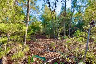 Lot 6 Blk 14 E Tiger Lily Ln, Defuniak Springs, FL 32433 - Photo 2