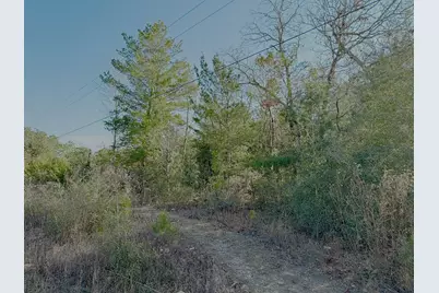 Lot 6 Blk 14 E Tiger Lily Lane, Defuniak Springs, FL 32433 - Photo 4