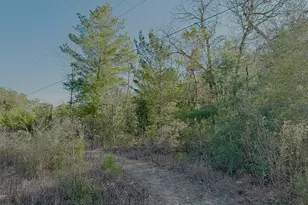 Lot 6 Blk 14 E Tiger Lily Ln, Defuniak Springs, FL 32433 - Photo 4